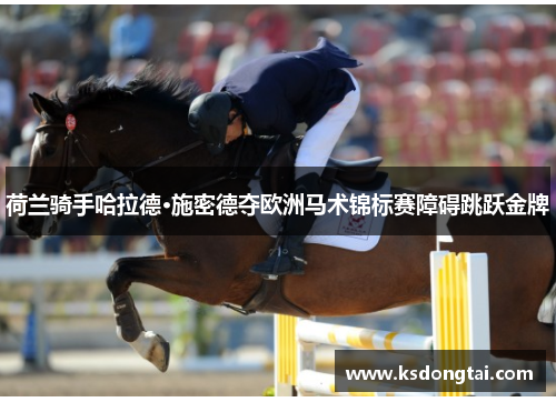 荷兰骑手哈拉德·施密德夺欧洲马术锦标赛障碍跳跃金牌